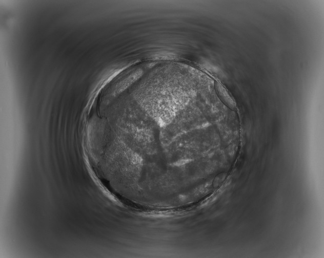 X0000085770049200703301412