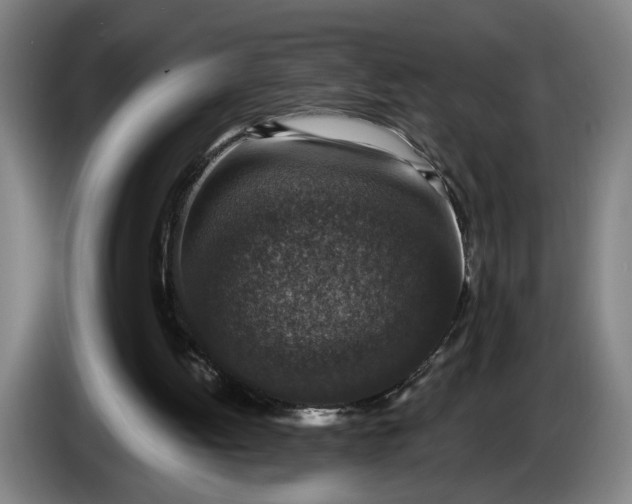 X0000085770052200703301412