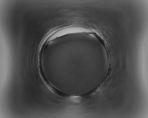 X0000085770055200703301412