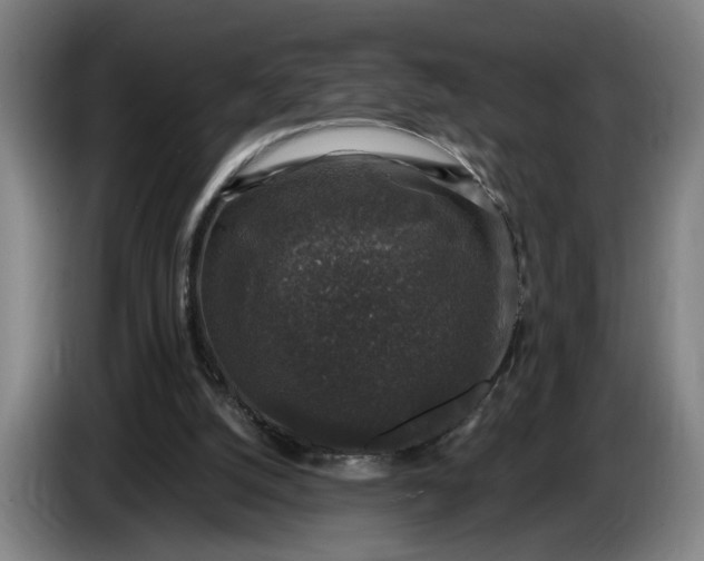 X0000085770056200703301412