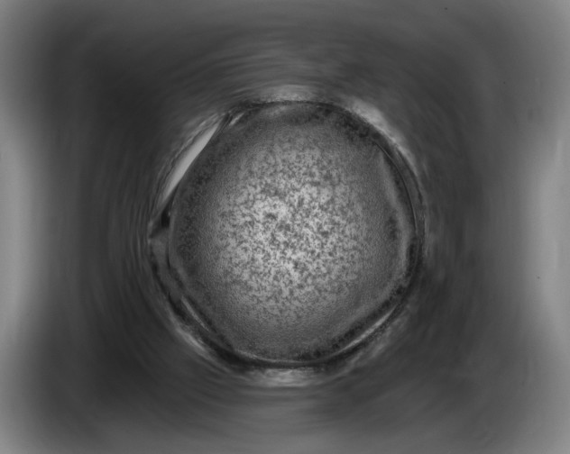 X0000085770057200703301412