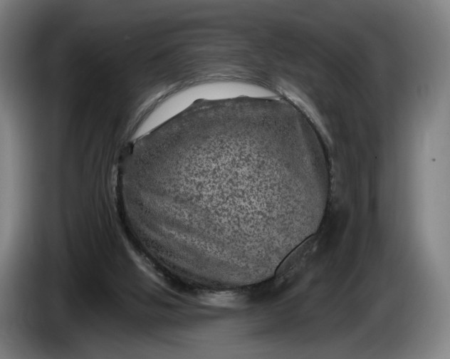 X0000085770058200703301412