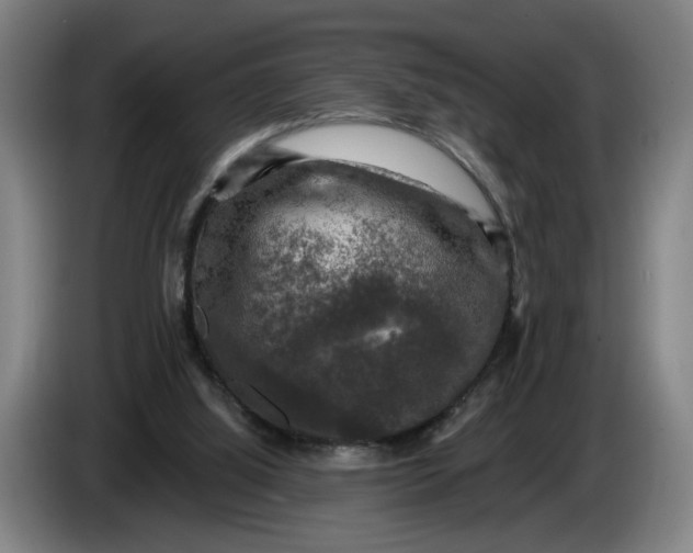 X0000085770060200703301412