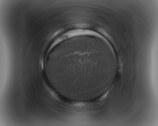 X0000085770062200703301412