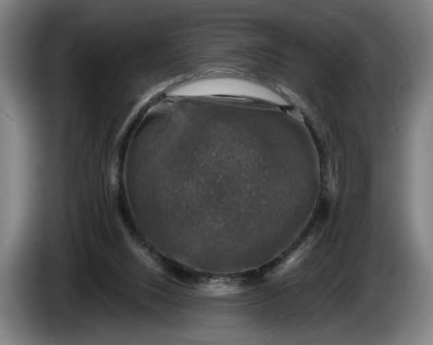 X0000085770064200703301412