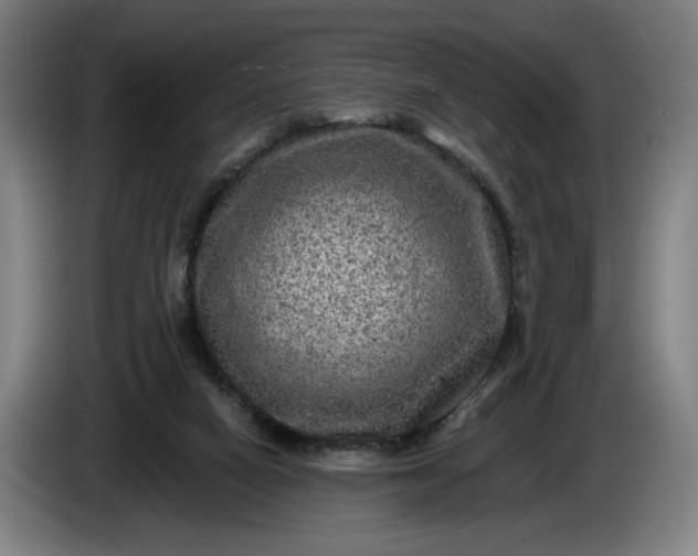 X0000085770066200703301412