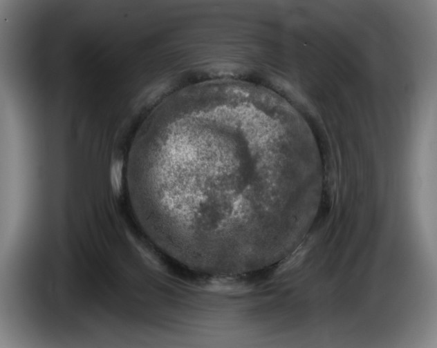 X0000085770070200703301412