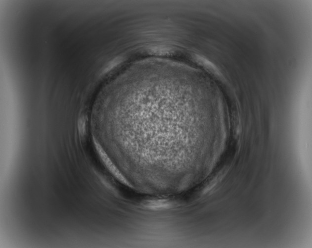 X0000085770071200703301412