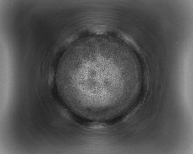 X0000085770073200703301412