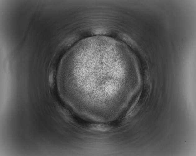 X0000085770074200703301412