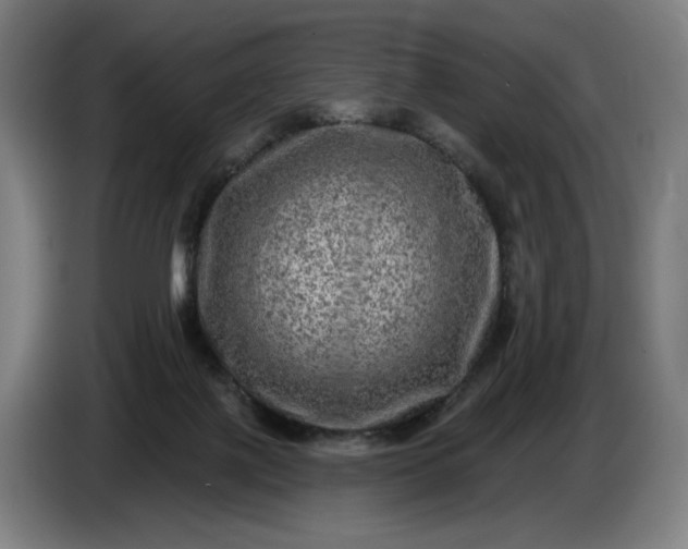 X0000085770075200703301412