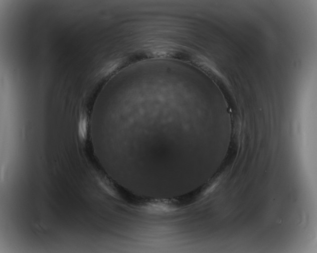 X0000085770076200703301412