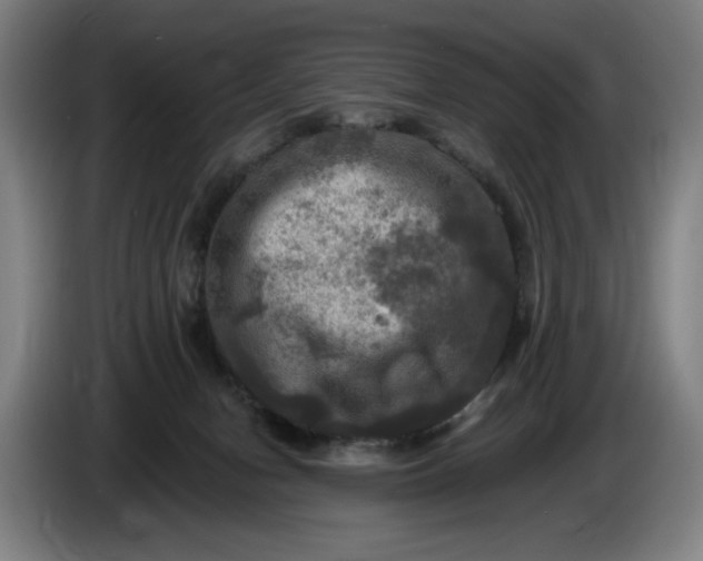 X0000085770078200703301412