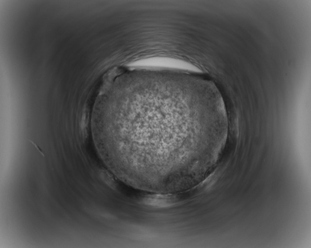 X0000085770082200703301412