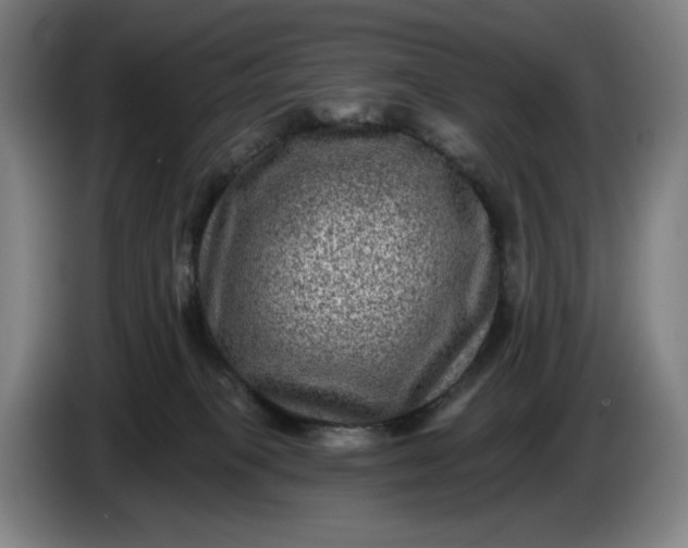 X0000085770085200703301412