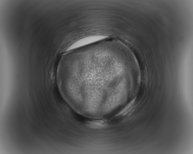 X0000085770086200703301412