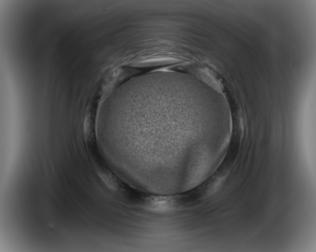 X0000085770088200703301412