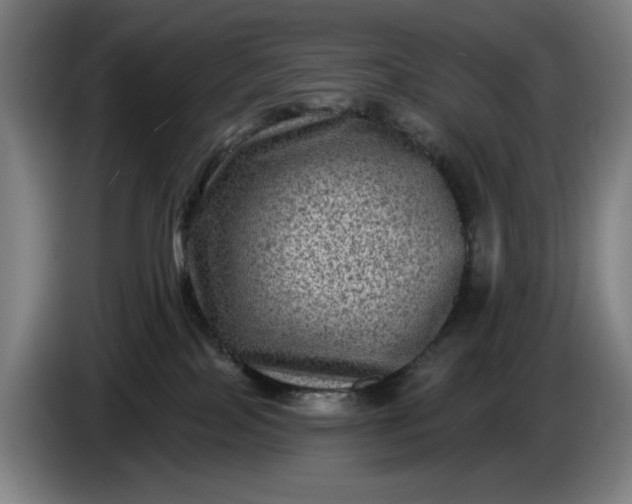 X0000085770089200703301412