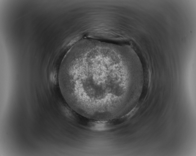 X0000085770090200703301413