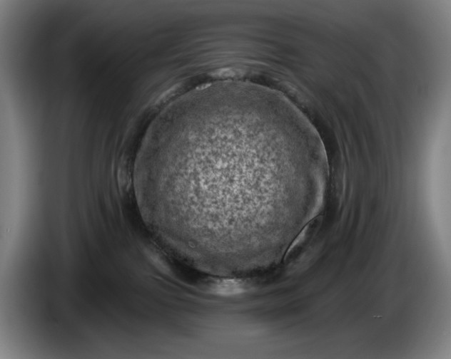 X0000085770091200703301413