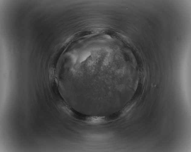 X0000085770093200703301413