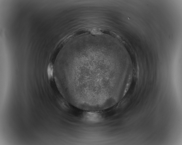 X0000085770095200703301413