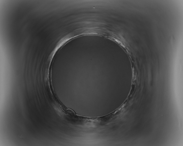 X0000085770099200703301412