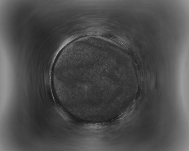 X0000085770100200703301412