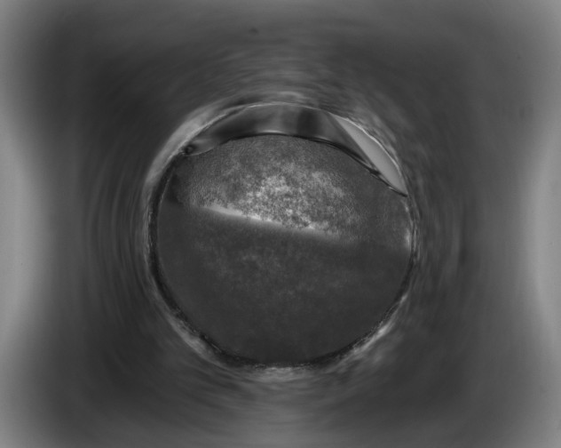 X0000085770101200703301412