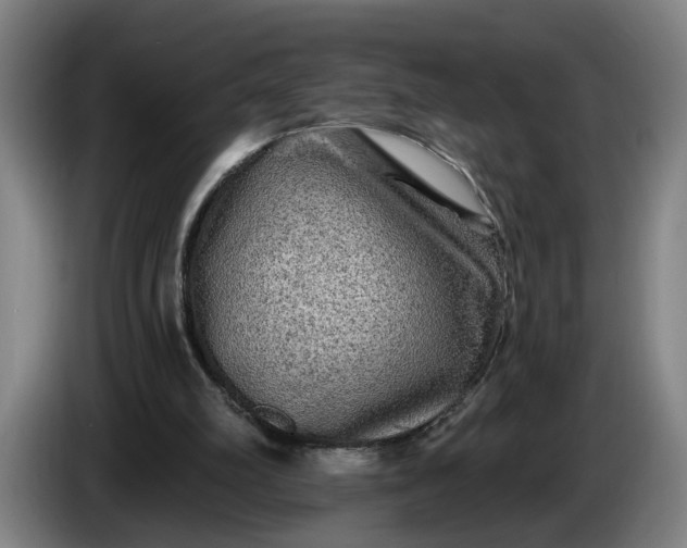 X0000085770102200703301412