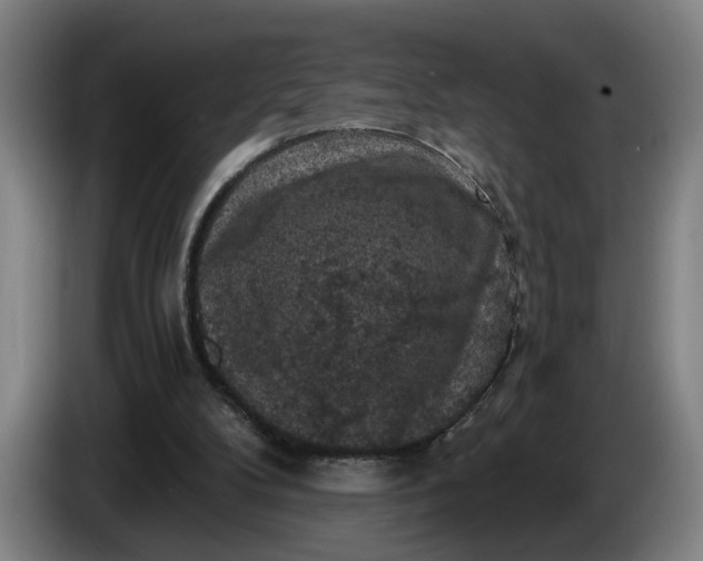 X0000085770104200703301412