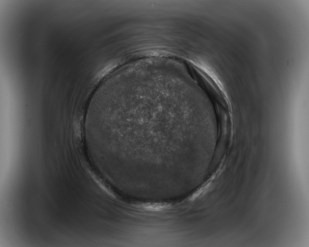 X0000085770105200703301412