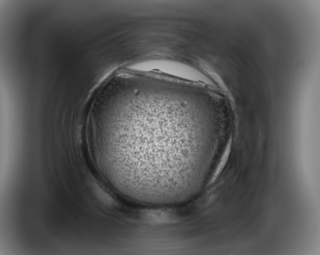 X0000085770106200703301412