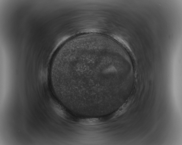 X0000085770108200703301412