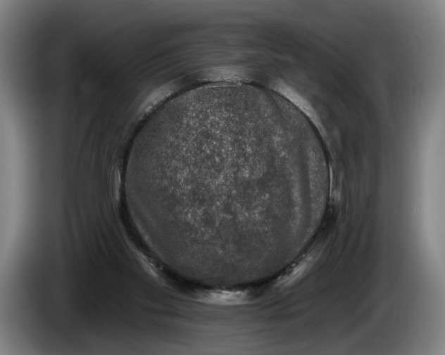 X0000085770109200703301412