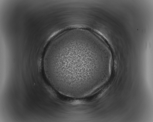 X0000085770111200703301412