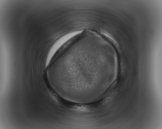 X0000085770113200703301412