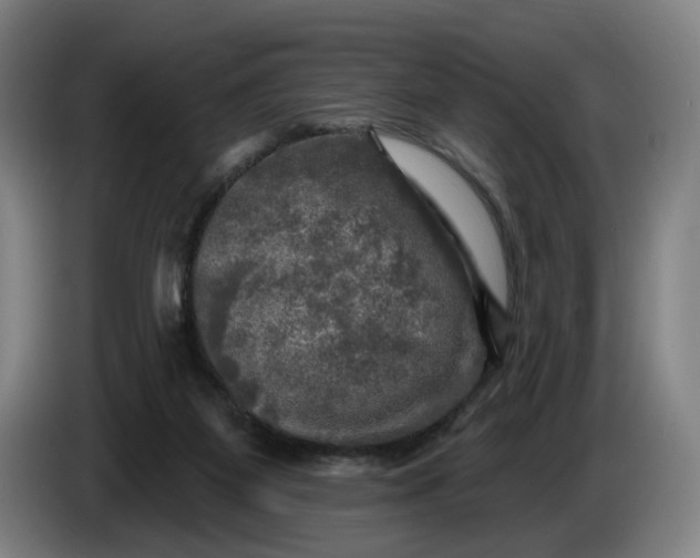 X0000085770115200703301412