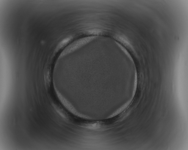 X0000085770116200703301412