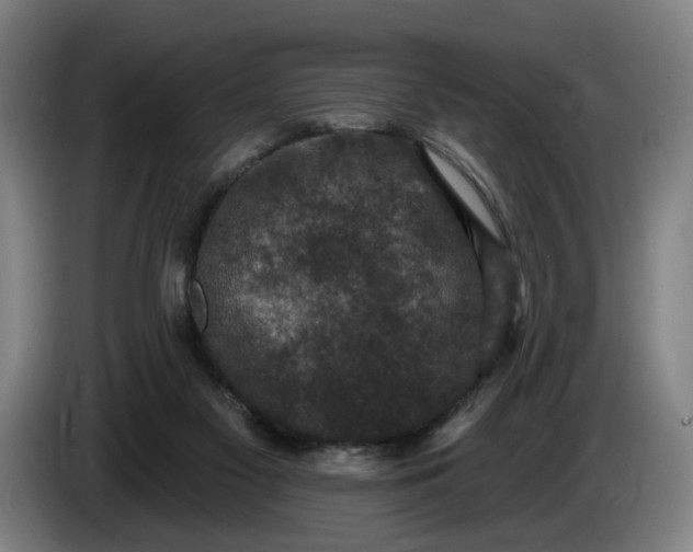 X0000085770117200703301412