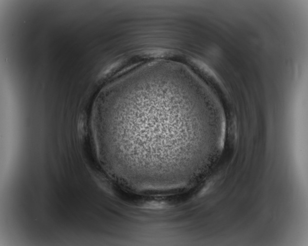 X0000085770119200703301412