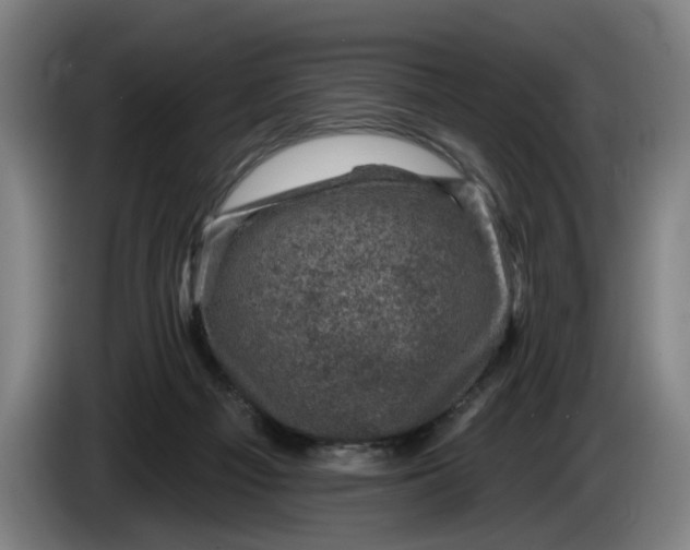 X0000085770121200703301412