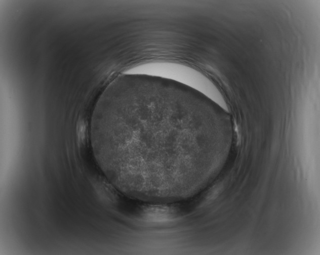 X0000085770123200703301412