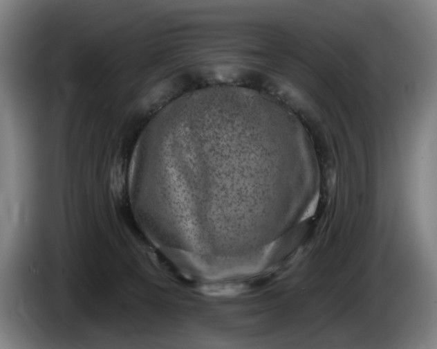 X0000085770129200703301411