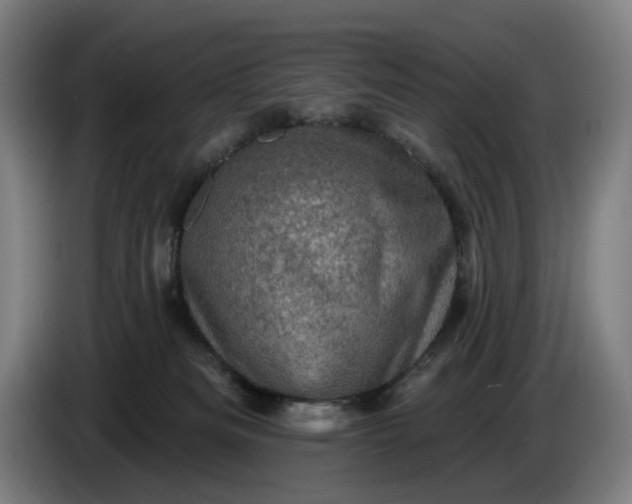 X0000085770133200703301411