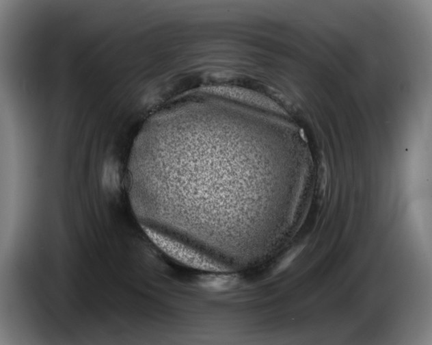 X0000085770135200703301411