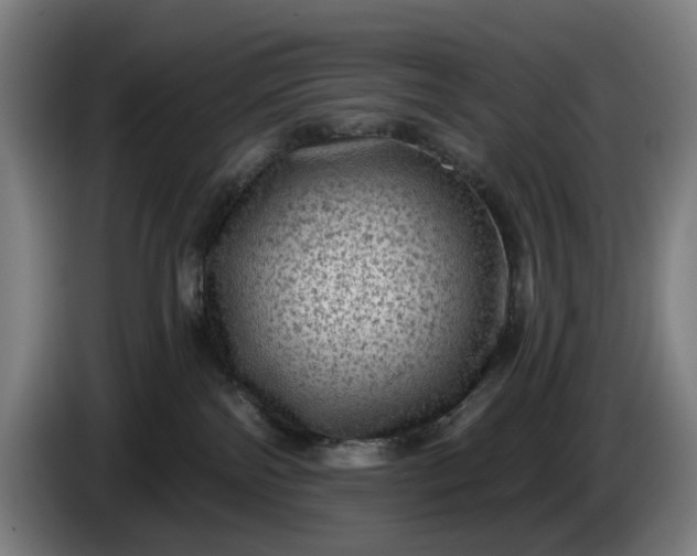 X0000085770138200703301411