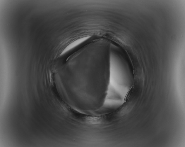 X0000085770139200703301411