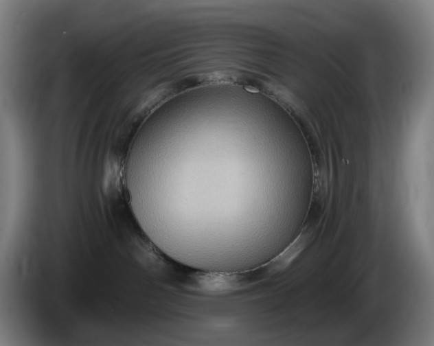 X0000085770142200703301411