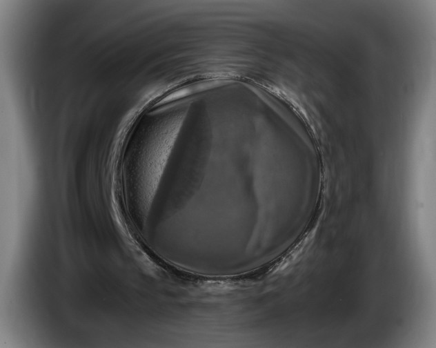 X0000085770145200703301411